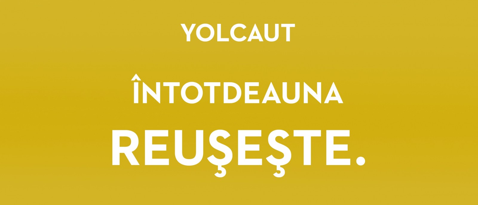 Fiesta în bârlog #7 – Yolcaut reușește întotdeauna