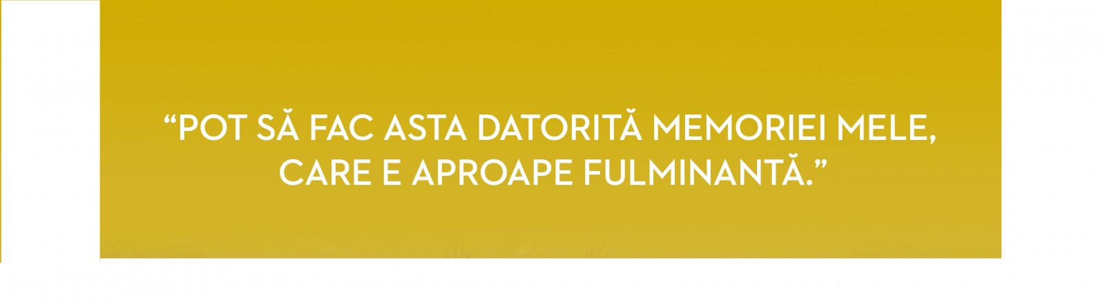 Fiesta în bârlog #8 – Memorie fulminantă