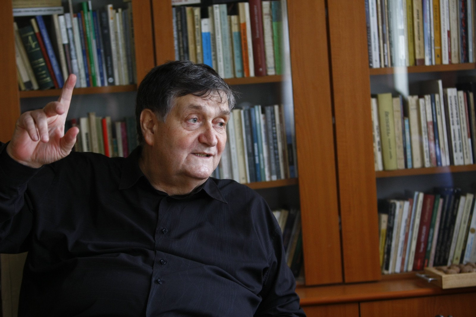 Alex. Ștefănescu: Cine mai are nevoie azi de literatură?