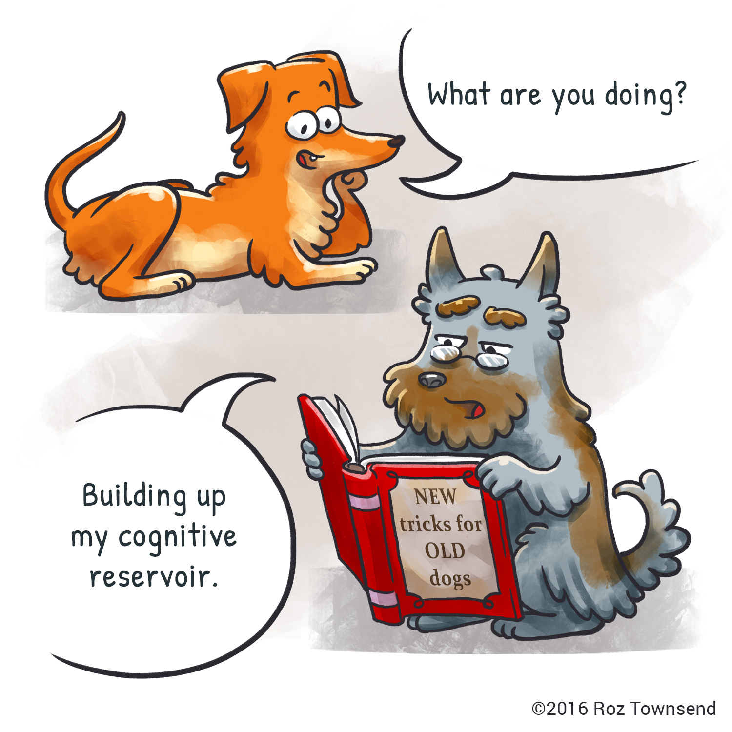 Roz Townsend: Despre Rezervorul cognitiv