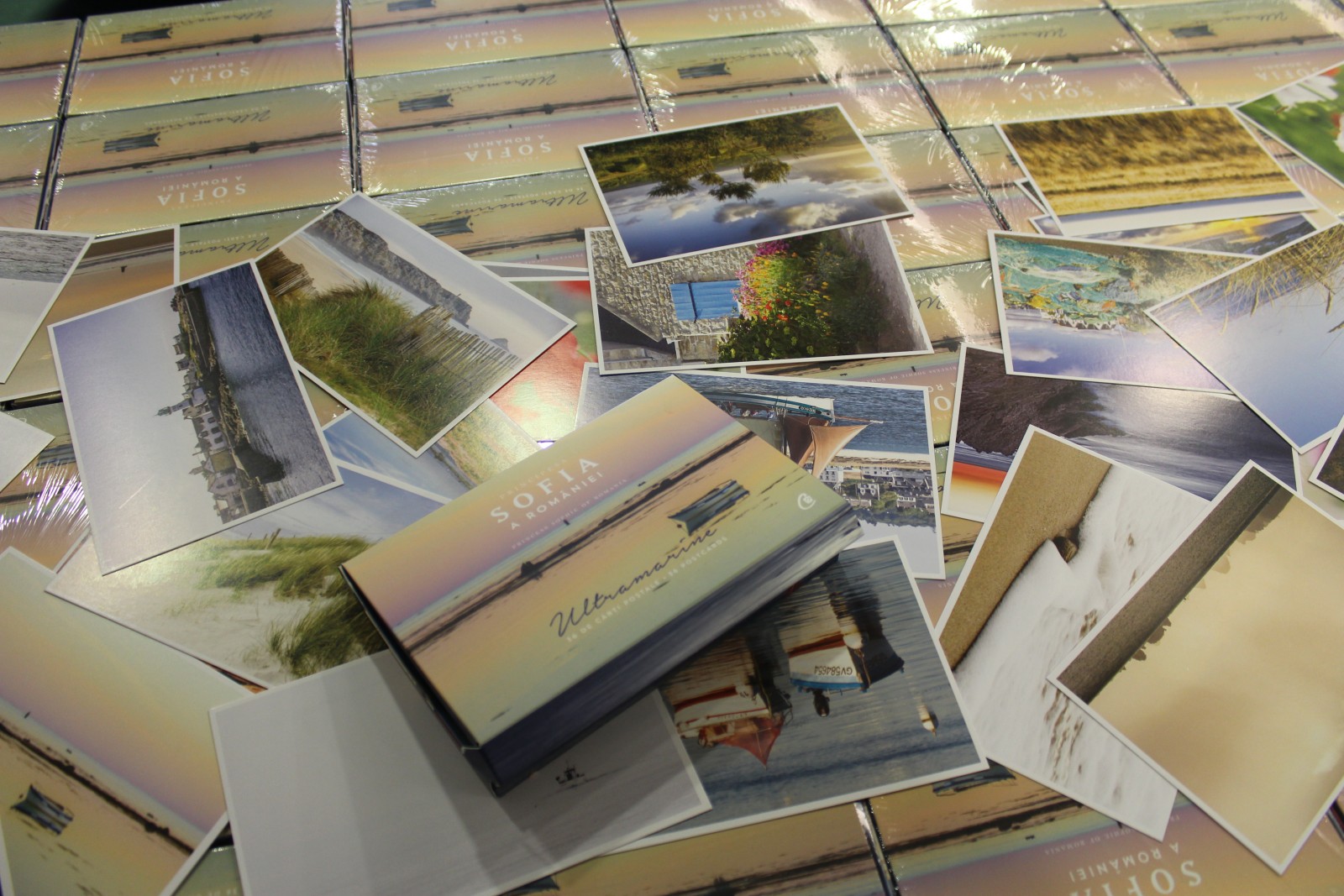 Vernisaj expozitiție “Elementele naturii”, realizată de ASR Principesa Sofia a României