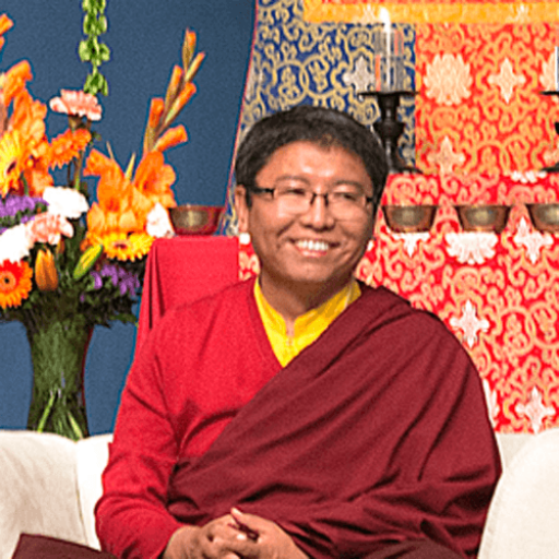 Tsoknyi Rinpoche - Carti