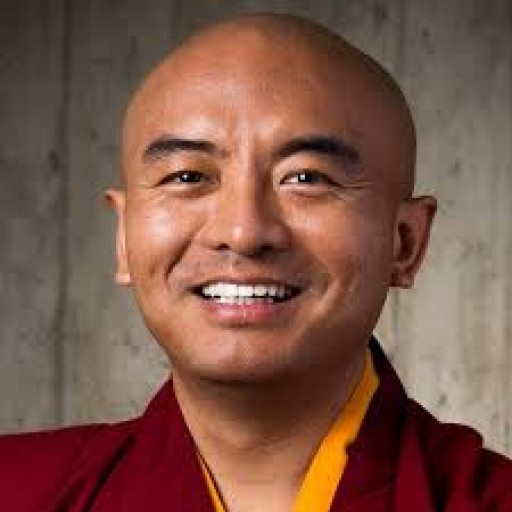 Yongey Mingyur Rinpoche - Carti