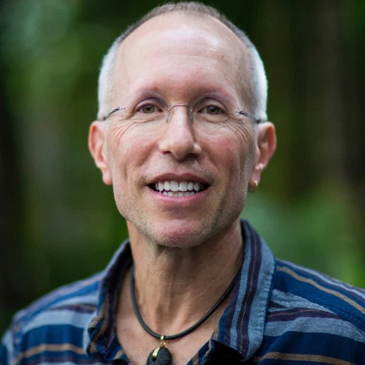 William von Hippel - Carti