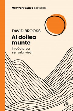 Mindfulness - Al doilea munte - David Brooks - Curtea Veche Publishing