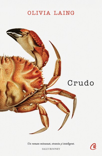Olivia Laing - Crudo - Curtea Veche Publishing