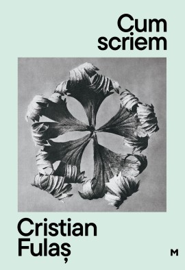 Black Friday - Reduceri - Cum scriem. Ed. II - Promotie