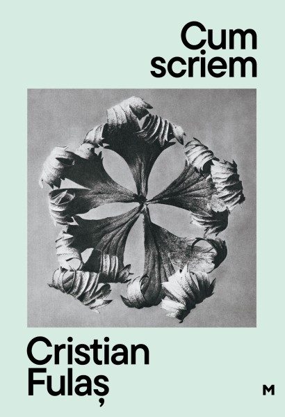 Cristian Fulaș - Cum scriem. Ed. II - Curtea Veche Publishing