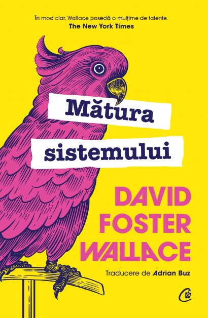 David Foster Wallace - Ebook Mătura sistemului - Curtea Veche Publishing