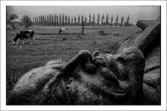 Postcard Cosmin Bumbuț 1