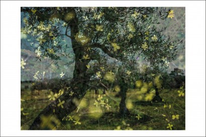 Cosmin Bumbuț - Postcard Cosmin Bumbuț 12 - Curtea Veche Publishing