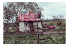 Pagina 3 Cărți Poștale - Postcard Cosmin Bumbuț 19 - Cosmin Bumbuț - Curtea Veche Publishing