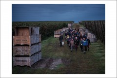 Postcard Cosmin Bumbuț 24