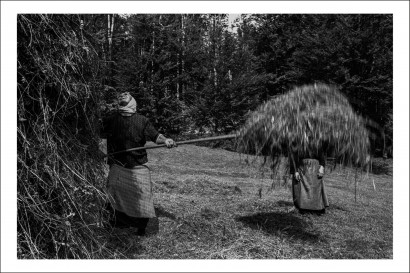 Cosmin Bumbuț - Postcard Cosmin Bumbuț 25 - Curtea Veche Publishing