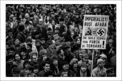 Pagina 4 Cărți Poștale - Postcard Cosmin Bumbuț 3 - Cosmin Bumbuț - Curtea Veche Publishing