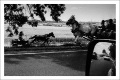 Postcard Cosmin Bumbuț 5