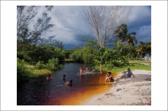 Pagina 3 Cărți Poștale - Postcard Cosmin Bumbuț 8 - Cosmin Bumbuț - Curtea Veche Publishing