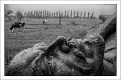 Pagina 4 Colecționabile - Postcard Cosmin Bumbuț 1 - Cosmin Bumbuț - Curtea Veche Publishing