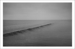 Pagina 3 Colecționabile - Postcard Cosmin Bumbuț 11 - Cosmin Bumbuț - Curtea Veche Publishing