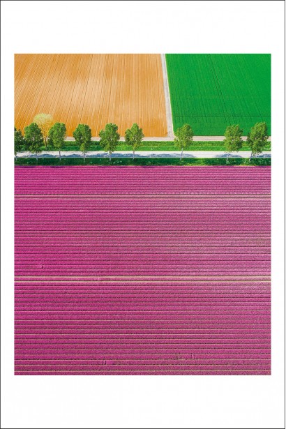 Alex Gâlmeanu - Postcard Alex Gâlmeanu 19 - Curtea Veche Publishing