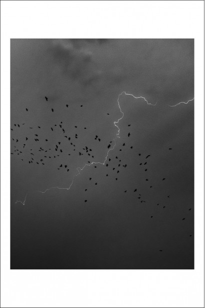 Alex Gâlmeanu - Postcard Alex Gâlmeanu 24 - Curtea Veche Publishing