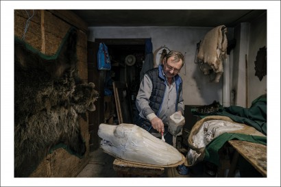 Ioana Moldovan - Postcard Ioana Moldovan 22 - Curtea Veche Publishing