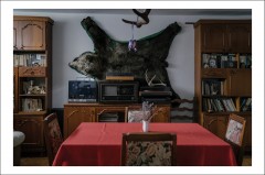 Cărți Poștale - Postcard Ioana Moldovan 23 - Ioana Moldovan - Curtea Veche Publishing