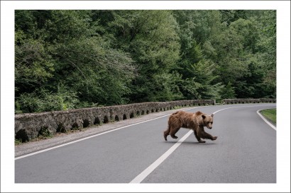 Ioana Moldovan - Postcard Ioana Moldovan 25 - Curtea Veche Publishing