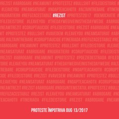 Autori români - #rezist. proteste impotriva OUG 13/2017  - Curtea Veche Publishing
